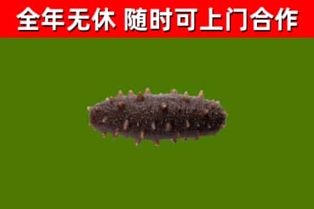 荆门烟酒回收干海参.jpg